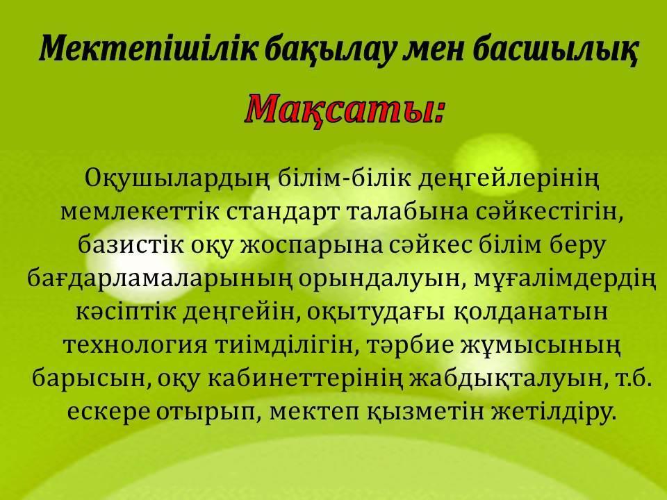 Мектеп жетістіктері